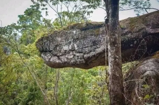 O que é e onde fica a caverna Naga?