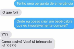 Ela comprou uma e agora não sabe o que fazer