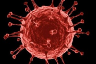 10 curiosidades surpreendentes sobre os vírus