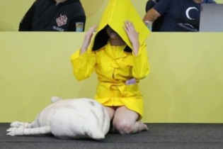 Vídeos do Concurso Cosplay by Bauducco na Brasil Game Show 2023