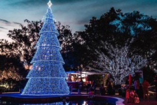 Parque do Palácio recebe a Cidade de Natal!