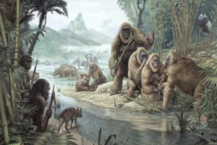 O maior primata que já existiu: conheçam o Gigantopithecus