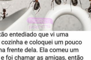 Formiga ou mentirosa? O grande debate do açúcar!