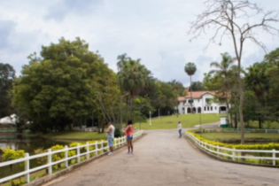 Horto Florestal recebe o Festival Tropical, evento de empreendedorismo feminino e Parque Ibirapuera o Grupo musical ‘Brasil M